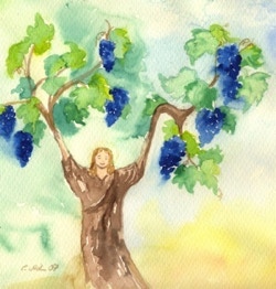 Wine with grapes - The biblically principle Wine with grapes vs New Apostolich Church Chief Apostle Ministry